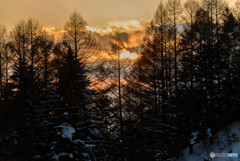 夕映