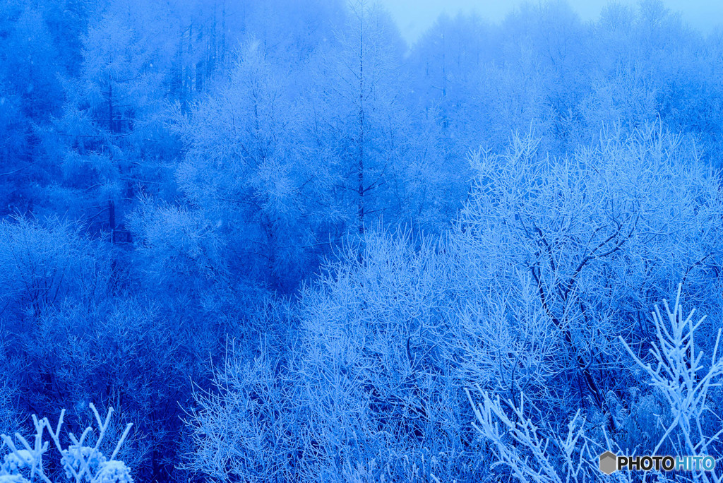 霧氷　４
