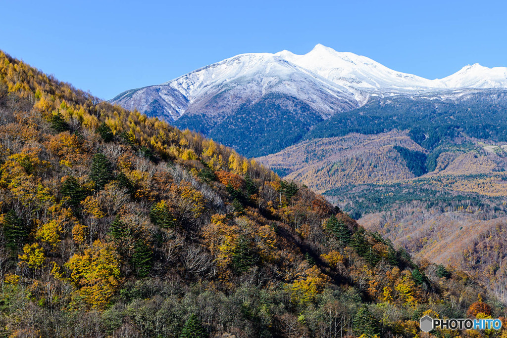 冠雪を望む