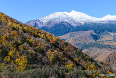 冠雪を望む