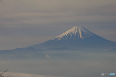 富士に逢いたくて　204