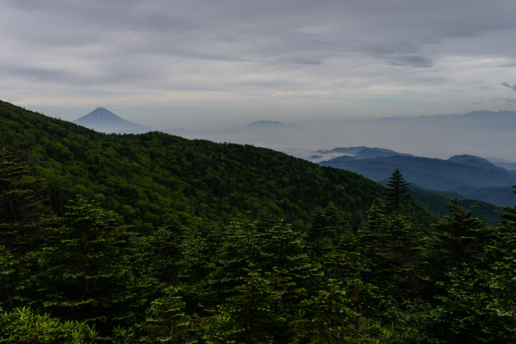 緑景の彼方
