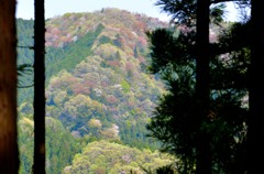 山笑う