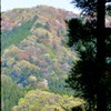 山笑う