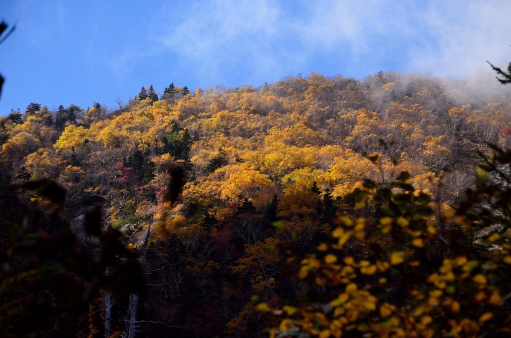 黄葉の山