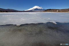 富士に逢いたくて　467