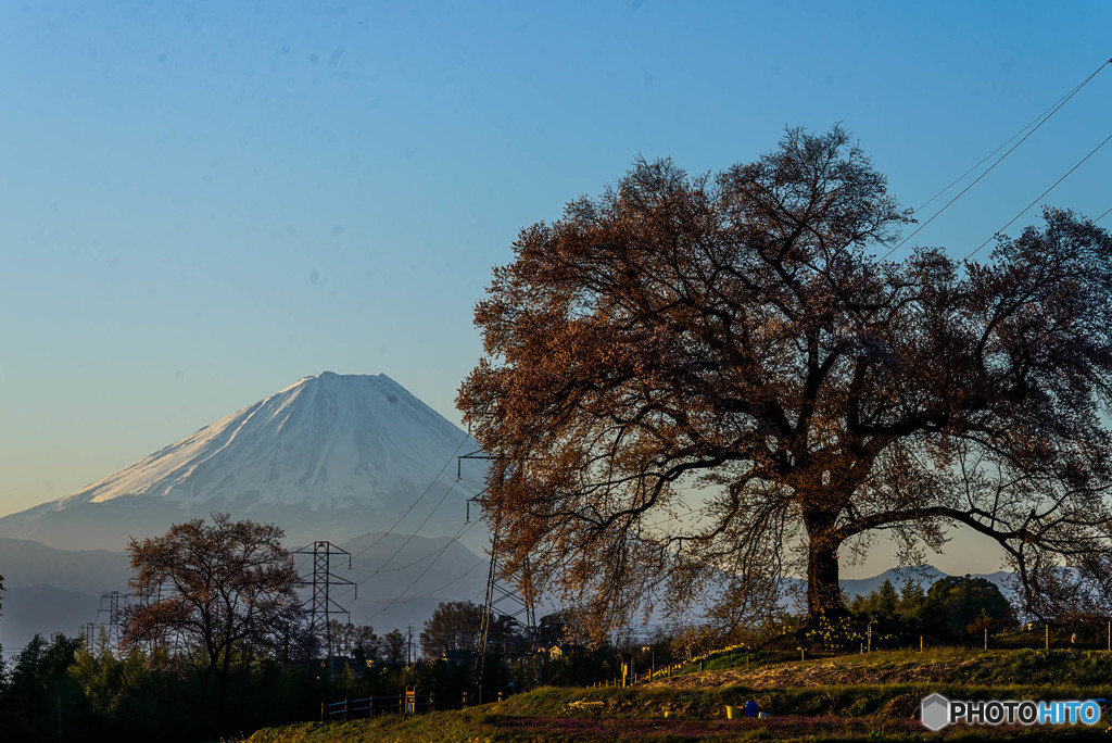 富士に逢いたくて　313