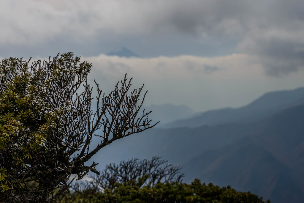 富士に逢いたくて　83