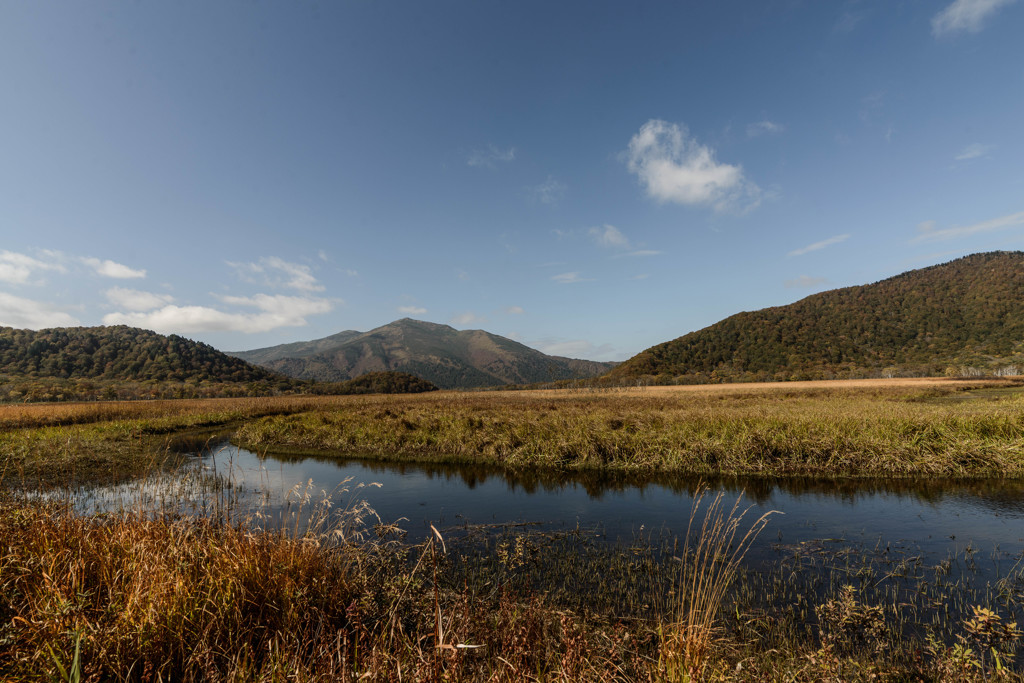 春よ来い　秋バージョン