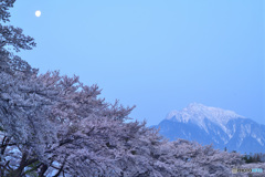 残月