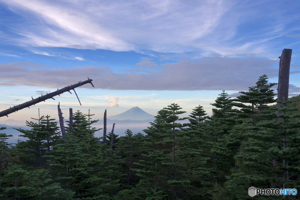 富士に逢いたくて　397