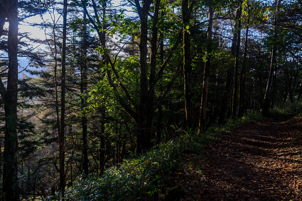 下山道