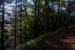下山道