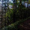 下山道