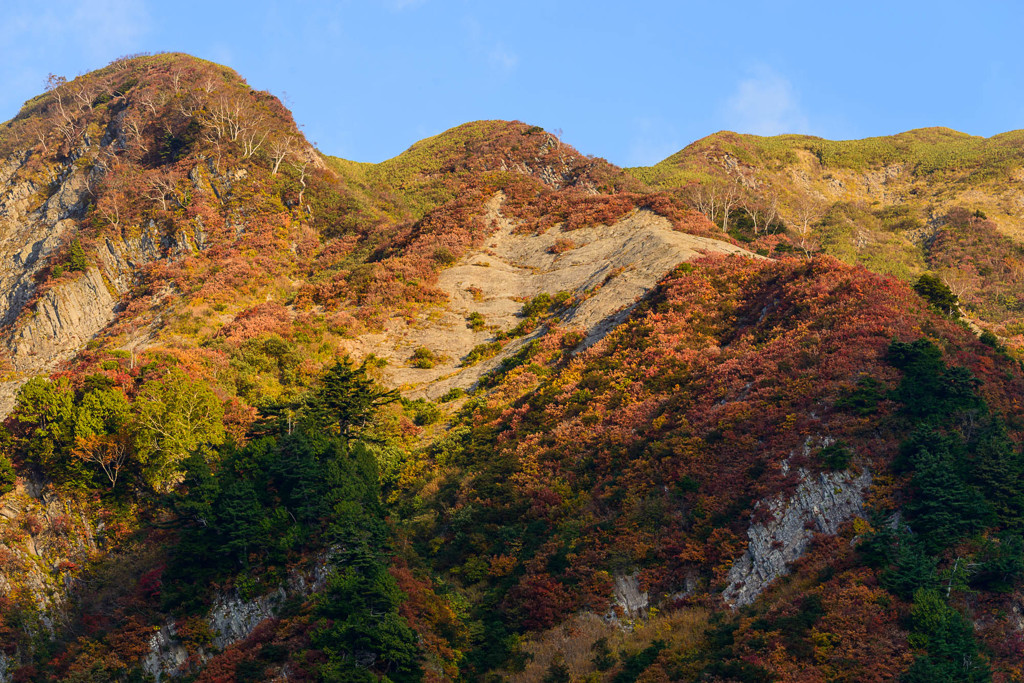 錦秋の峰