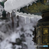 雪灯籠