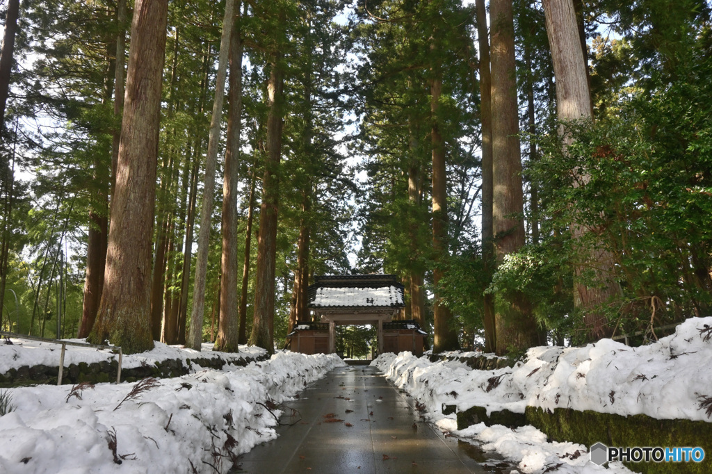 参道