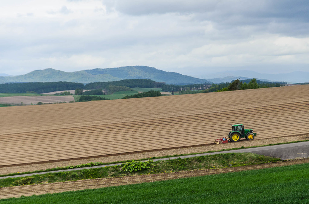 春の美瑛　点描　2