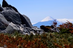春　浅く