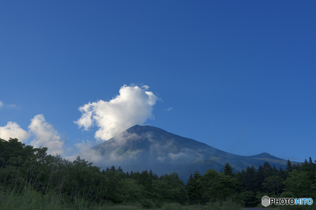 富士に逢いたくて　445
