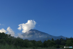 富士に逢いたくて　445