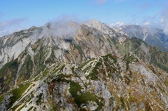 白岩青松