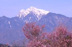 春の山　のたりのたりかな