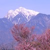 春の山　のたりのたりかな