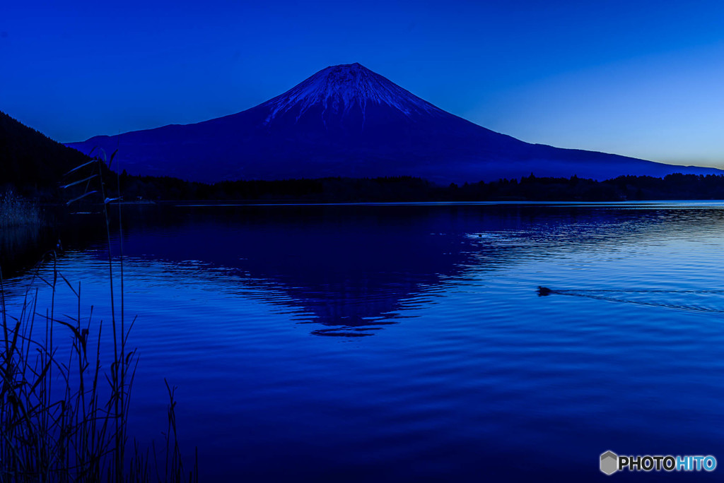 富士に逢いたくて　307