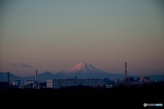 富士に逢いたくて　175
