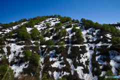 山、滴る