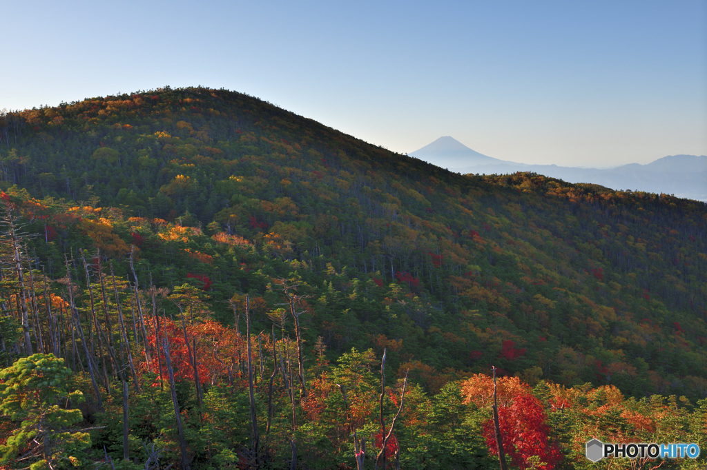 富士に逢いたくて　364