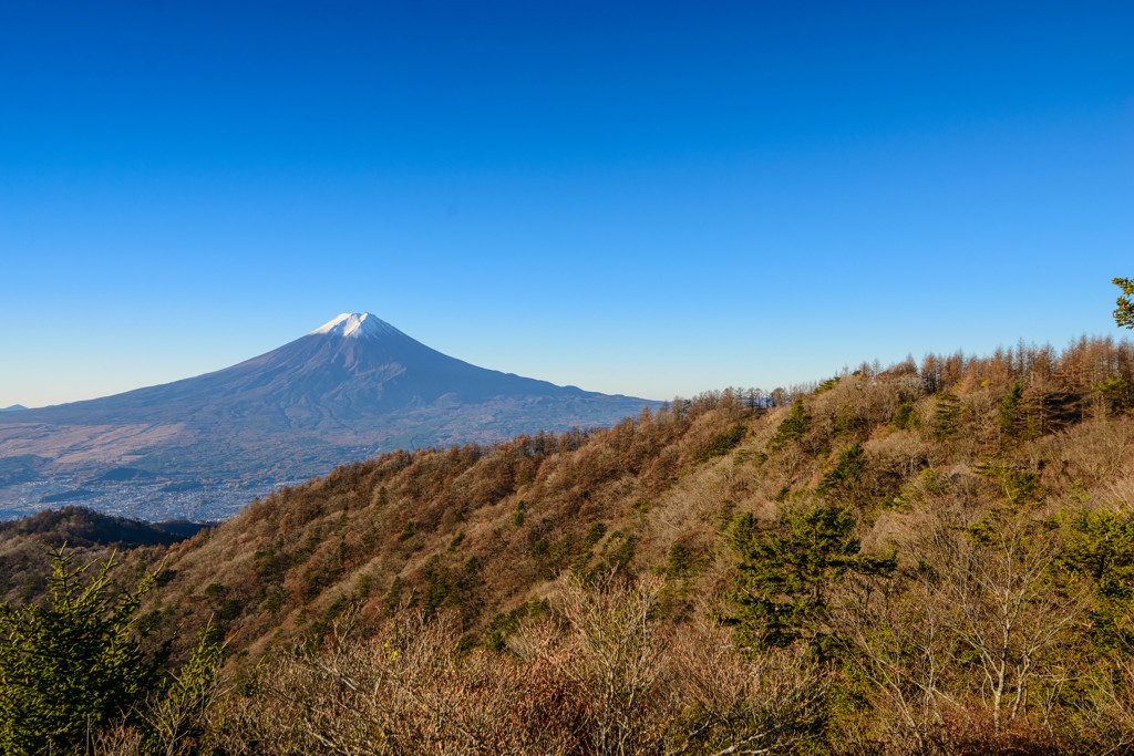 富士に逢いたくて　5