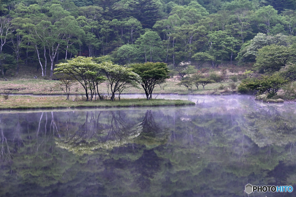 緑濃く