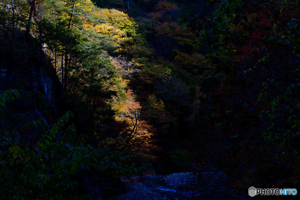 紅さす