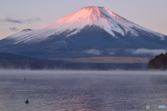 富士に逢いたくて　633