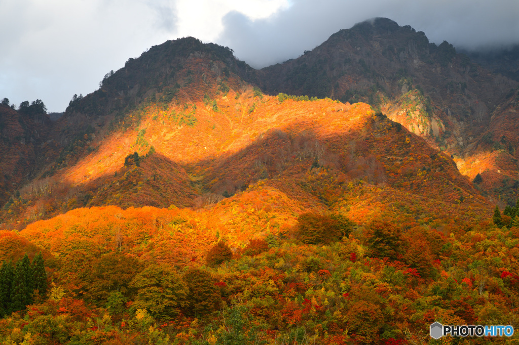 全山紅葉