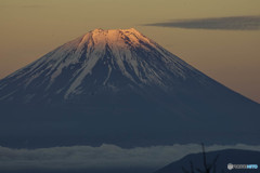富士に逢いたくて　205