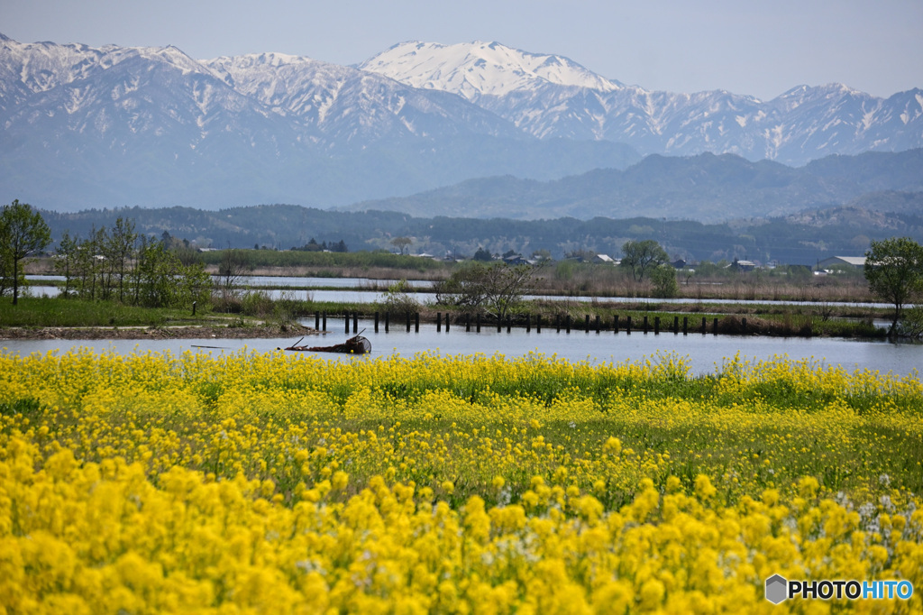 飯豊　春景