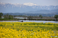 飯豊　春景