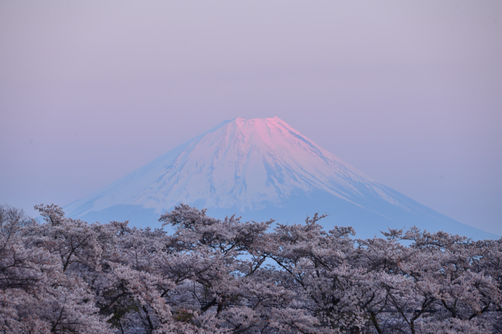富士に逢いたくて　620