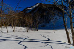 雪原