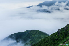 雲海