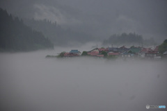朝霧
