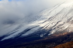 雪原