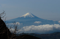 春景