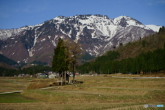 雪解けのころ