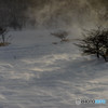 雪煙