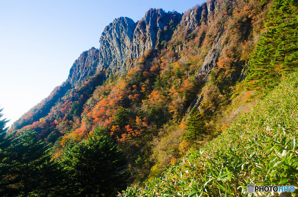 紅葉の山