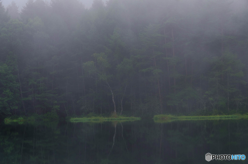 朝霧